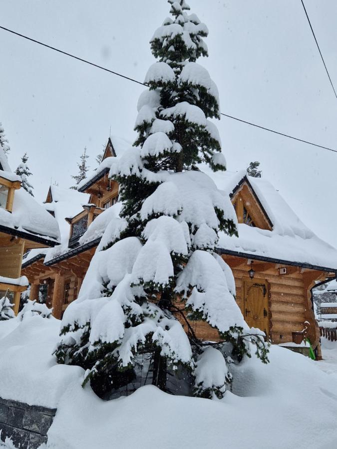 Przytulny Domek I Zakopane Luaran gambar